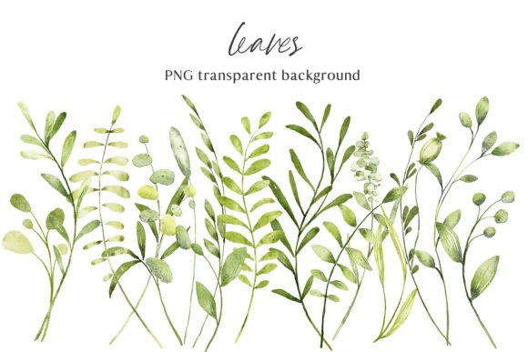 Download Leaves, Watercolor Clipart, PNG Files. - Premium Bundle